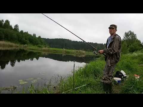 Рыбалка летом на фидер и удочку!
