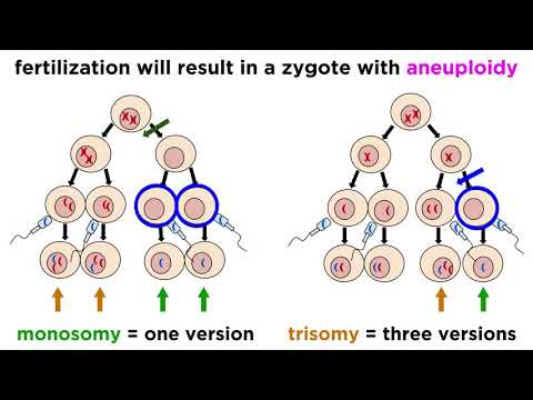 Alteration of Chromosome Number and Structure
