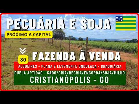 📍 CRISTIANÓPOLIS Fazenda à Venda em Goiás de 80 Alq [🌱 DUPLA APTIDÃO GADO SOJA MILHO 🐄] #tec2agro