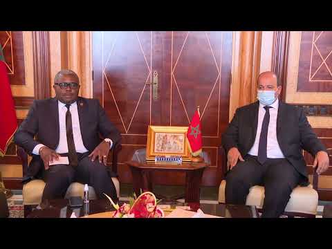 السيد ميارة يتباحث مع رئيس اللجنة الإفريقية لحقوق الإنسان والشعوب