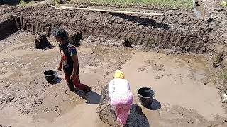 Download lagu POND CLEANING PROCESS BEFORE PUTTING PATIN SEEDS IN WANI RANTAU LAND mp3 Download lagu POND CLEANING PROCESS BEFORE PUTTING PATIN SEEDS IN WANI RANTAU LAND mp3