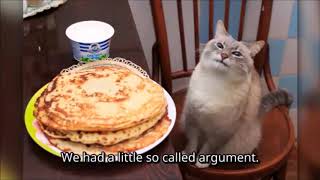 НЕВОЗМОЖНЫЙ ТЕСТ НА ПСИХИКУ С КОТИКАМИ THE IMPOSSIBLE TEST ON THE PSYCHE WITH CATS