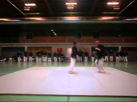 coupe de belgique 2012.wmv