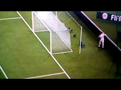 Das dümmste FIFA Tor ever!!!