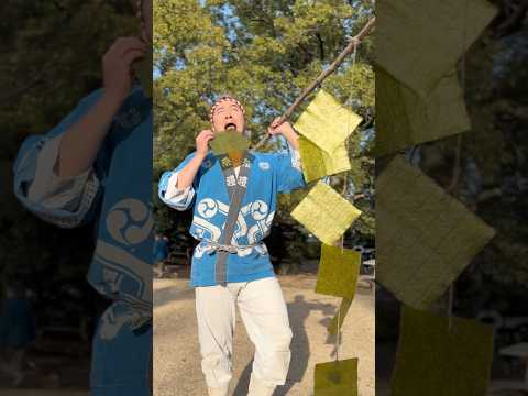 Japan paper food🧻 紙を食べる