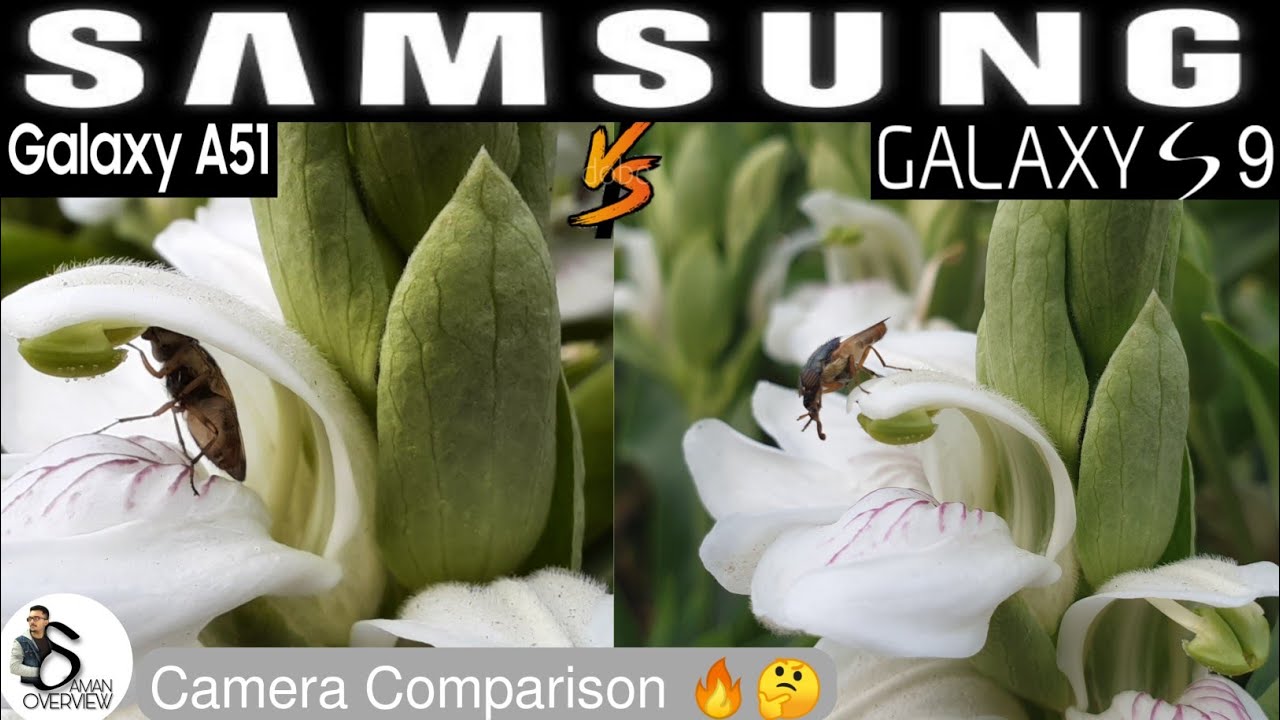 SAMSUNG A51 VS SAMSUNG S9 Camera Comparison 🔥🔥🤔🤔