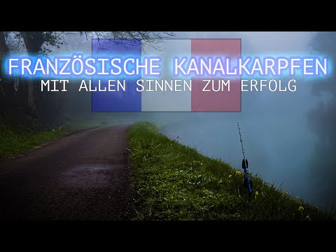 Dreambaits präsentiert: Französische Kanalkarpfen - Mit allen Sinnen zum Erfolg - Karpfenangeln 2023