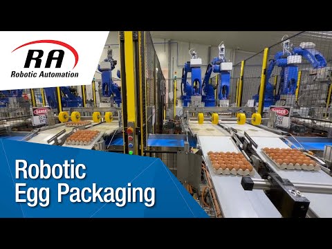 Automated Egg Packing and Palletising Solution