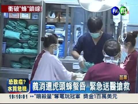 虎頭蜂傾巢飛竄 義消遭螫昏不治