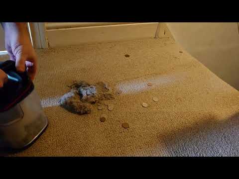 More coin vacuuming - Stairs with tools - Brushroll