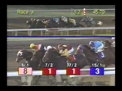 1996 San Carlos Handicap