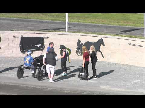 Ponnylopp Kat A 20190724