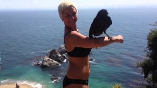 Hwy 1 hooping w/ a raven