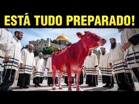 LATEST NEWS FROM ISRAEL AND THE THIRD TEMPLE - (July 2025)