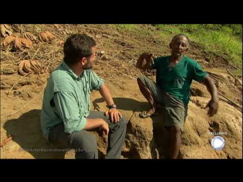Conheça os garimpeiros que arriscam a vida na corrida pelo o ouro