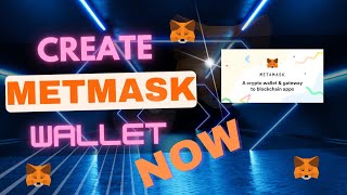 Metamask Wallet Setup: The Beginner's Blueprint