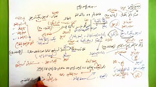 صورة 89 🔦 بصيرة لا يعمل ويمكن أن يعمل