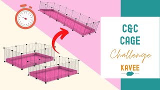 C&C CAGE CHALLENGE: Merging two C&C Cages for Guinea Pigs into one, in less than 3 minutes!