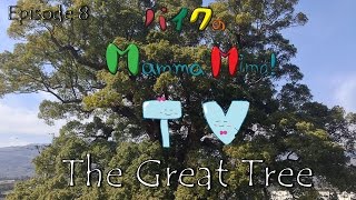 preview picture of video 'Mamma.Mima TV - Episode 08: The Great Tree'