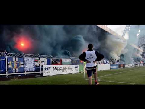 SPLENDATA - BLUE BLOOD