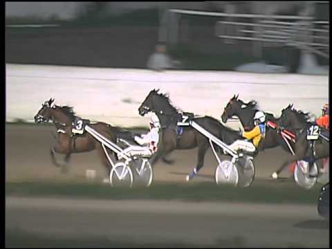 Trotto 13/03/2016 - 8° corsa TRIS