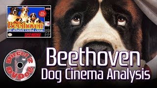 Beethoven SNES & Film Analysis - Direct 2 DVDog Episode 0001