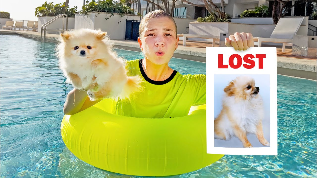 Maggie Lost Shanti in the Pool