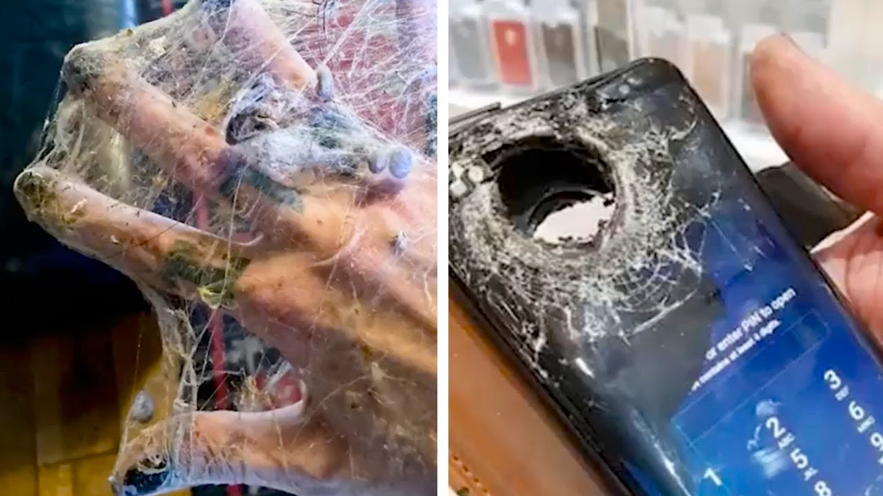 Снимки, которые удивляют с первого взгляда