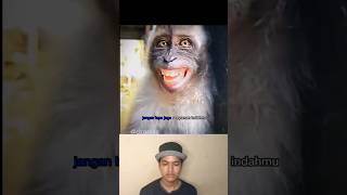 Download lagu MONYET LUCU BANGET 😭 TAHAN TAWA PART 17 #shorts #hewanlucu mp3