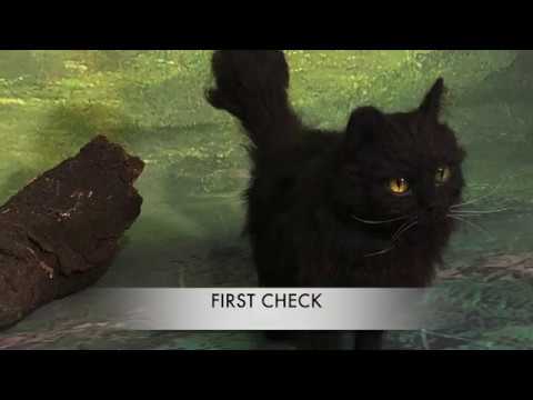 TOOTIQUE - Needle felting a long haired black cat