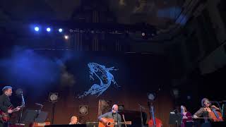 David Gray - Gulls Live Skellig Tour 05.03.2023 Night II