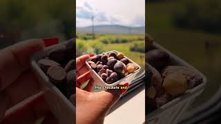 #ad | Rocky Mountaineer Denver to Moab day one experience #traintraveler #traintrip #traintravel