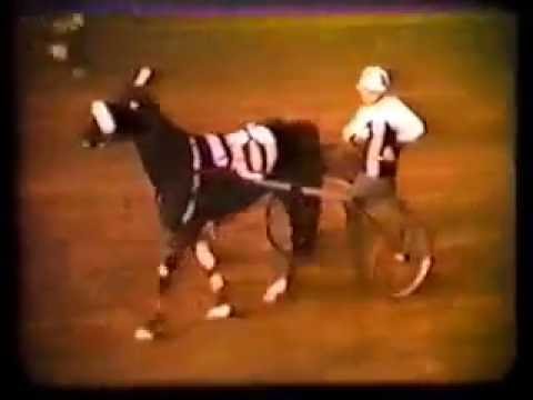 1959 Little Brown Jug ADIOS BUTLER Delaware County Fair