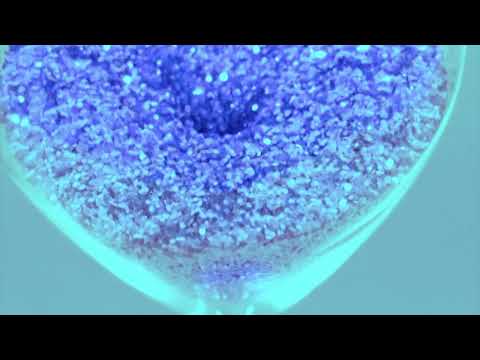 UNSECRET X PYPR X SAINT MIDDLETON - TIME IS RUNNING OUT [OFFICIAL AUDIO]