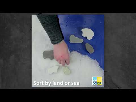 Slide 9 - Little Lands, Polar, Set of 8 (video)