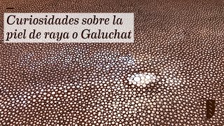 Curiosidades sobre la piel de raya, Galuchat o Shagreen