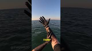 Download lagu Isengnya ga bisa dihapus⁉️#shorts mp3 Download lagu Isengnya ga bisa dihapus⁉️#shorts mp3