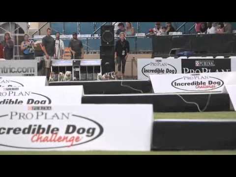 2012 IDC Western Regionals - San Diego Overview