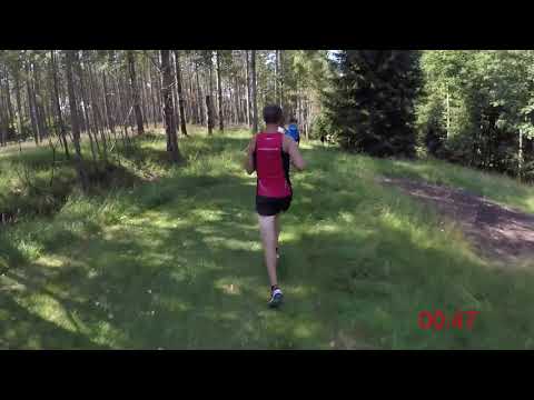 Dalenrundan 2021 - 6 km (Löparperspektiv)