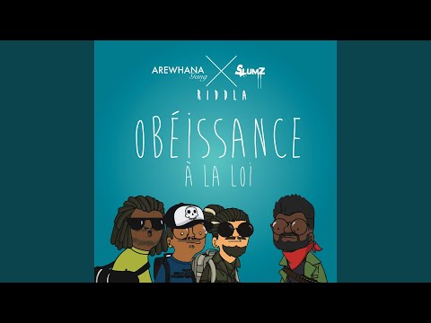 Obéissance à la loi