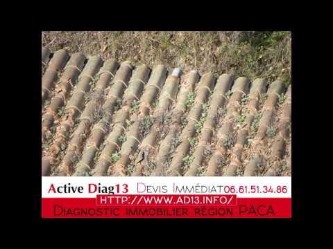 Soumettre des diagnostics immobiliers (Diagnostic DPE, Diagnostic Plomb, Diagnostic Termites, Diagnostic Amiante, Diagnostic Electrisue, Diagnostic Gaz, mise en opropriété, SRU, Diagnostic loi Carrez ...) est la spécialisation d'Active Diag13