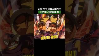 원피스) 사황 최고 간부급이라는 거인족 선장들 근황