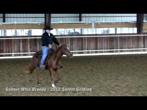 Gunner Whiz Brandy - 2012 Gelding, Gunner Special Nite X Dun It Whiz Brandy by Hollywood Dun It