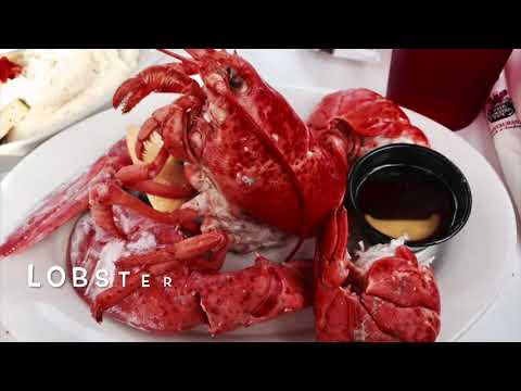 download lagu mp3 mp4 Charlies Restaurant Lake George, download lagu Charlies Restaurant Lake George gratis, unduh video klip Charlies Restaurant Lake George