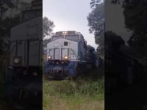 Pátio ferroviário Rio Negro Paraná PR-Brasil (2026) #trensbrasil #trains #ferroviabrasileira #rumo