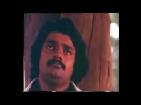 Mizhiyoram song from Malayalam movie Manjil Virinja Pookkal - Subtitles -Dr. Mrinalini J Singh