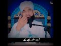 Huzoor ﷺ Kaise Thy Rabi Ul Awal Status Raza Saqib Mustafai Status Shorts