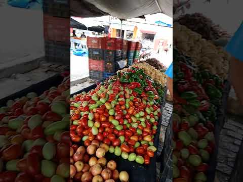 FEIRA LIVRE MAIRI BA