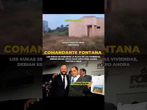 COMANDANTE FONTANA, ASI ESTÁN LAS VIVIENDAS DEL IPV