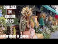 Chelsea In Bloom 2025 London S Most Beautiful Flower Festival